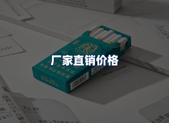 专业团队办公环境